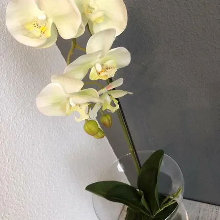 아파트 La Duquesita