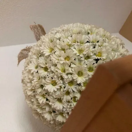 La Duquesita 알바데토르메스