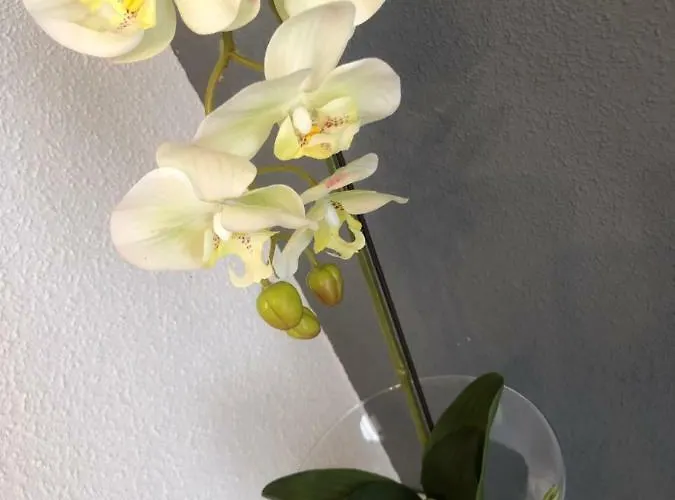 Appartamento La Duquesita